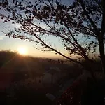 فندق مبيت وإفطار Miro