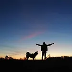 Miro 3* بيفي دي سوليغو