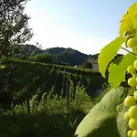 Miro فندق مبيت وإفطار بيفي دي سوليغو