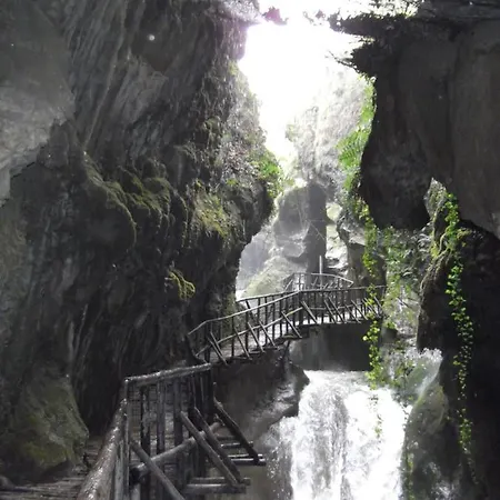 Bed and breakfast Miro