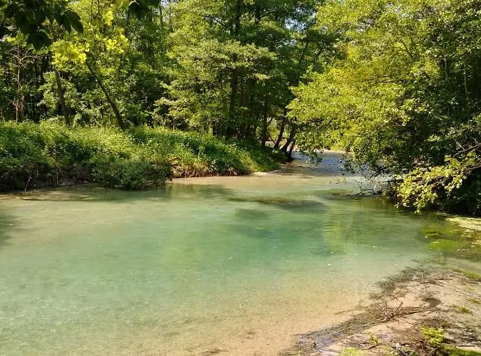 Bed & Breakfast Miro