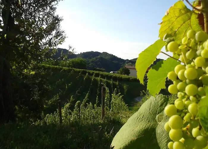 Miro Bed & Breakfast Pieve di Soligo